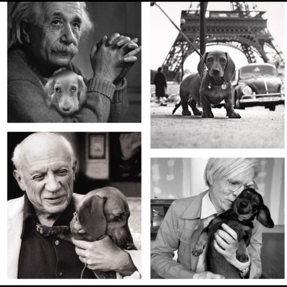 🌟Dachshund Pals Wall Art - Picture 11 of 16